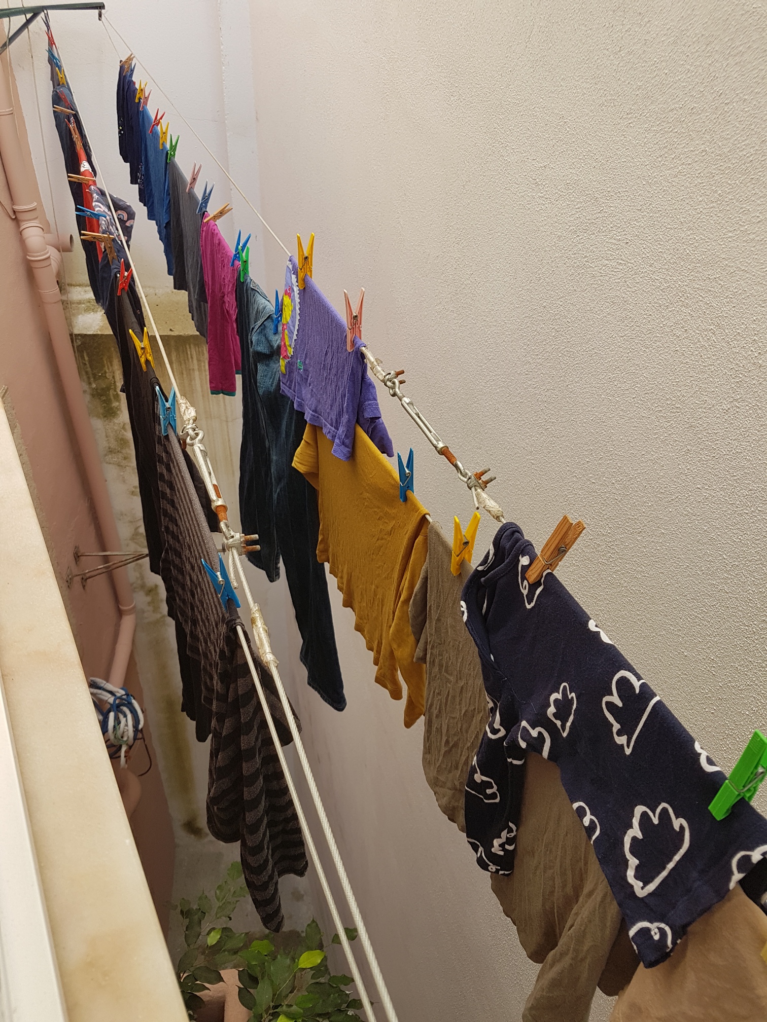 20181019_120115.jpg