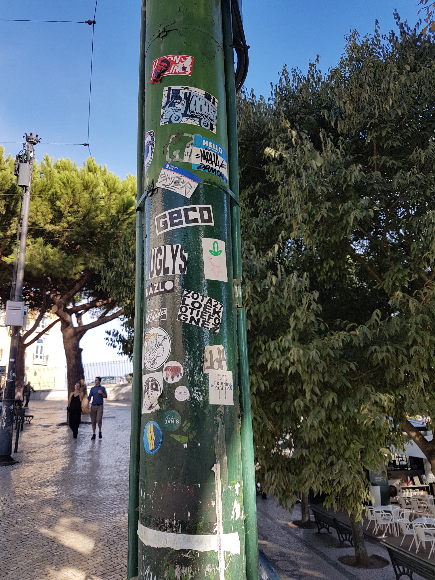 20181020_095208.jpg
