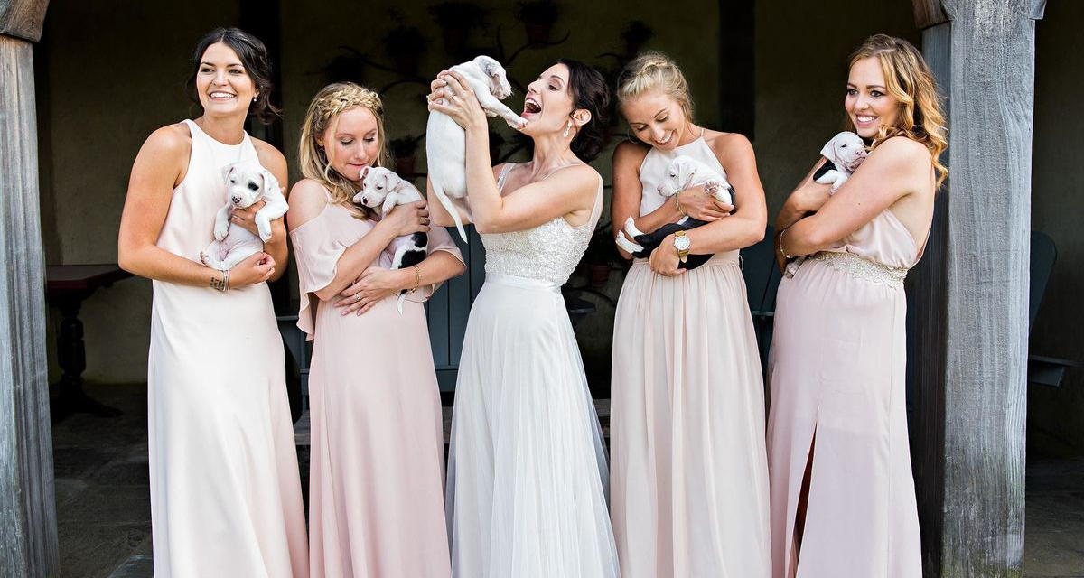Kiskutyákra cserélték a virágokat a világ legcukibb esküvői fotózásán