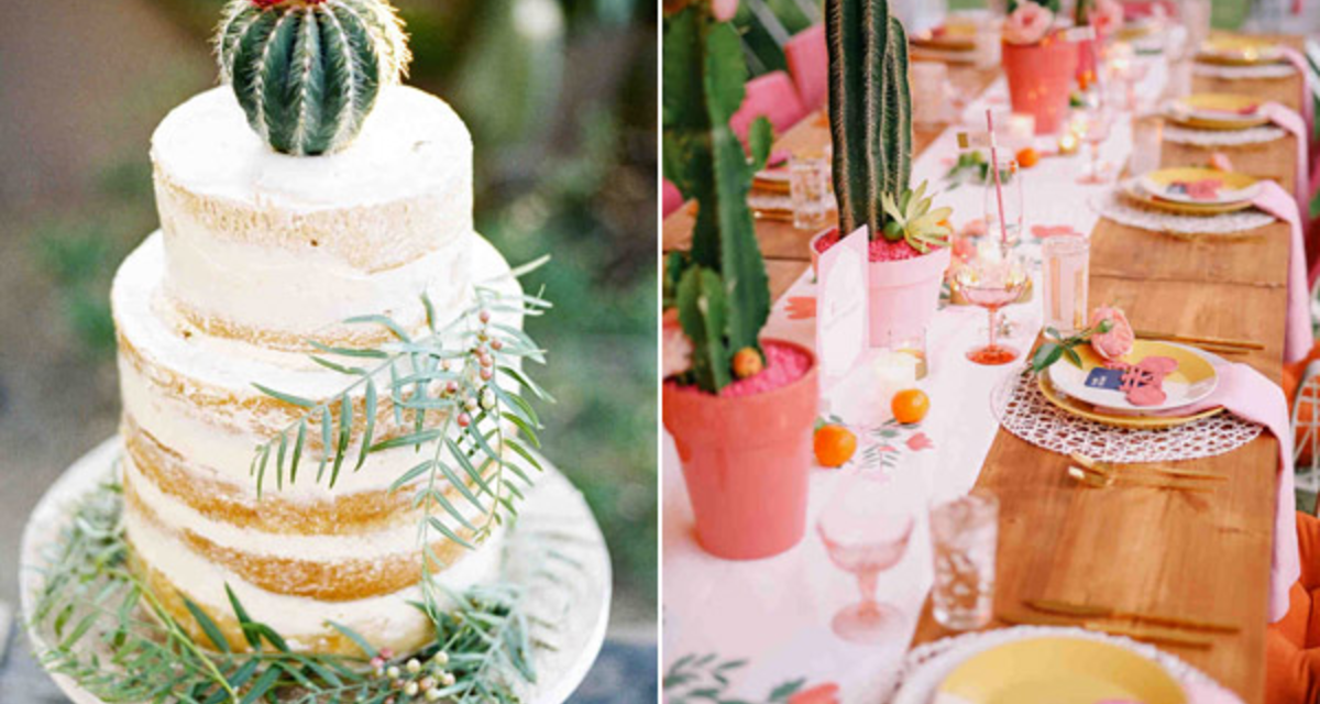 Kaktusz az esküvőn: 10 kép, ami meghozza a kedved hozzá - Le a babonával!