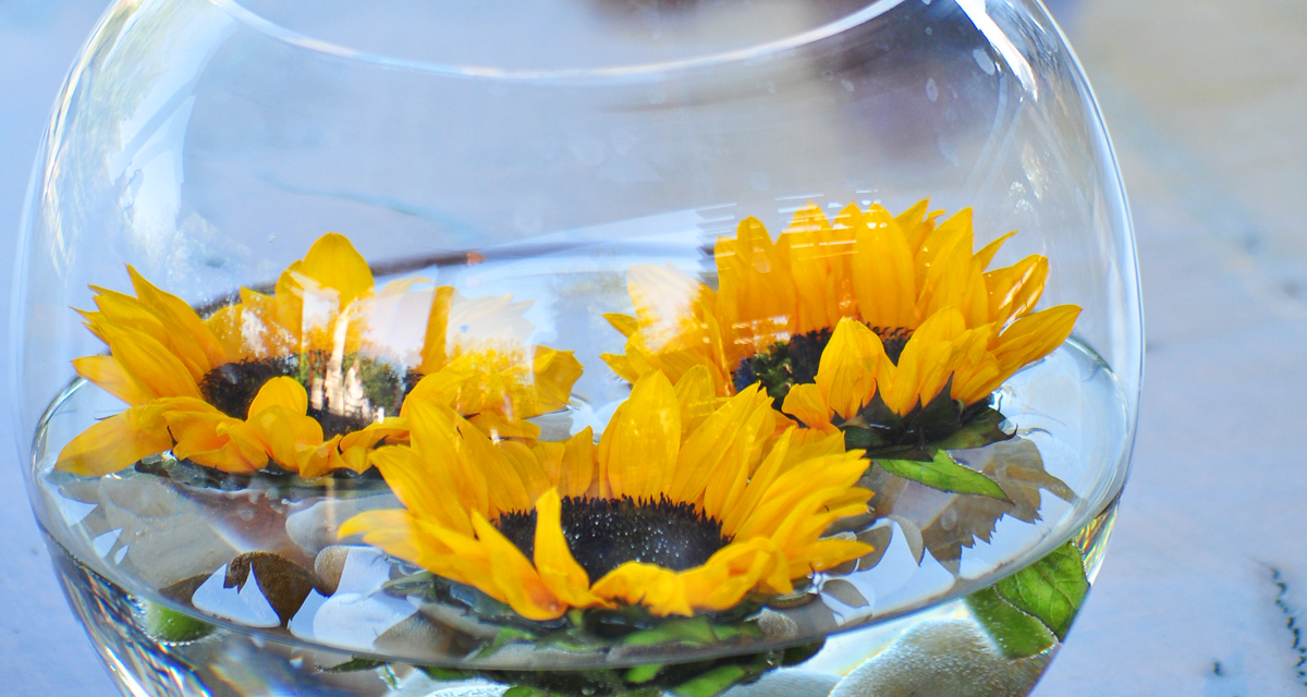 Csodás úszó virágok az esküvőn: látványos dekoráció a vacsoraasztalra
