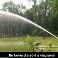 A sör és a viagra