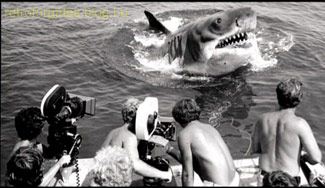 jaws_07.jpg