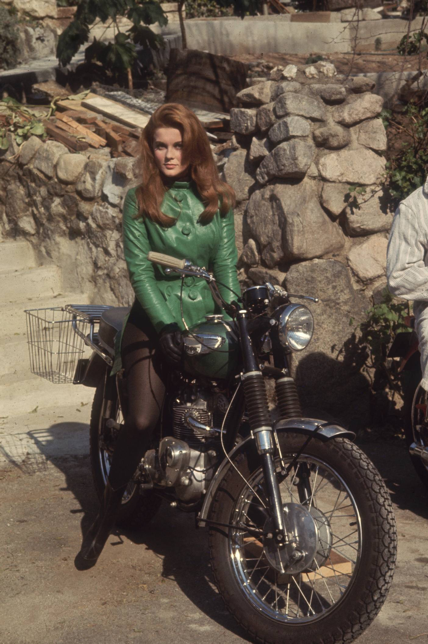 ann-margret_26.jpg