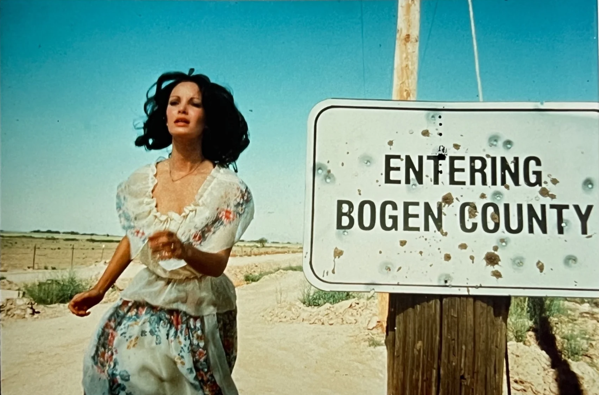 escape_from_bogen_county_1977.png