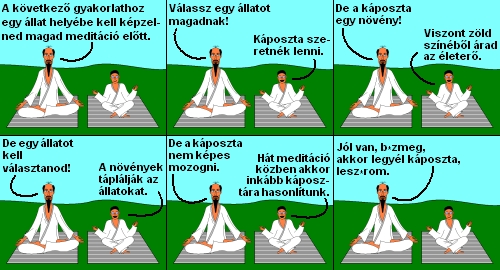 015_kaposzta.jpg