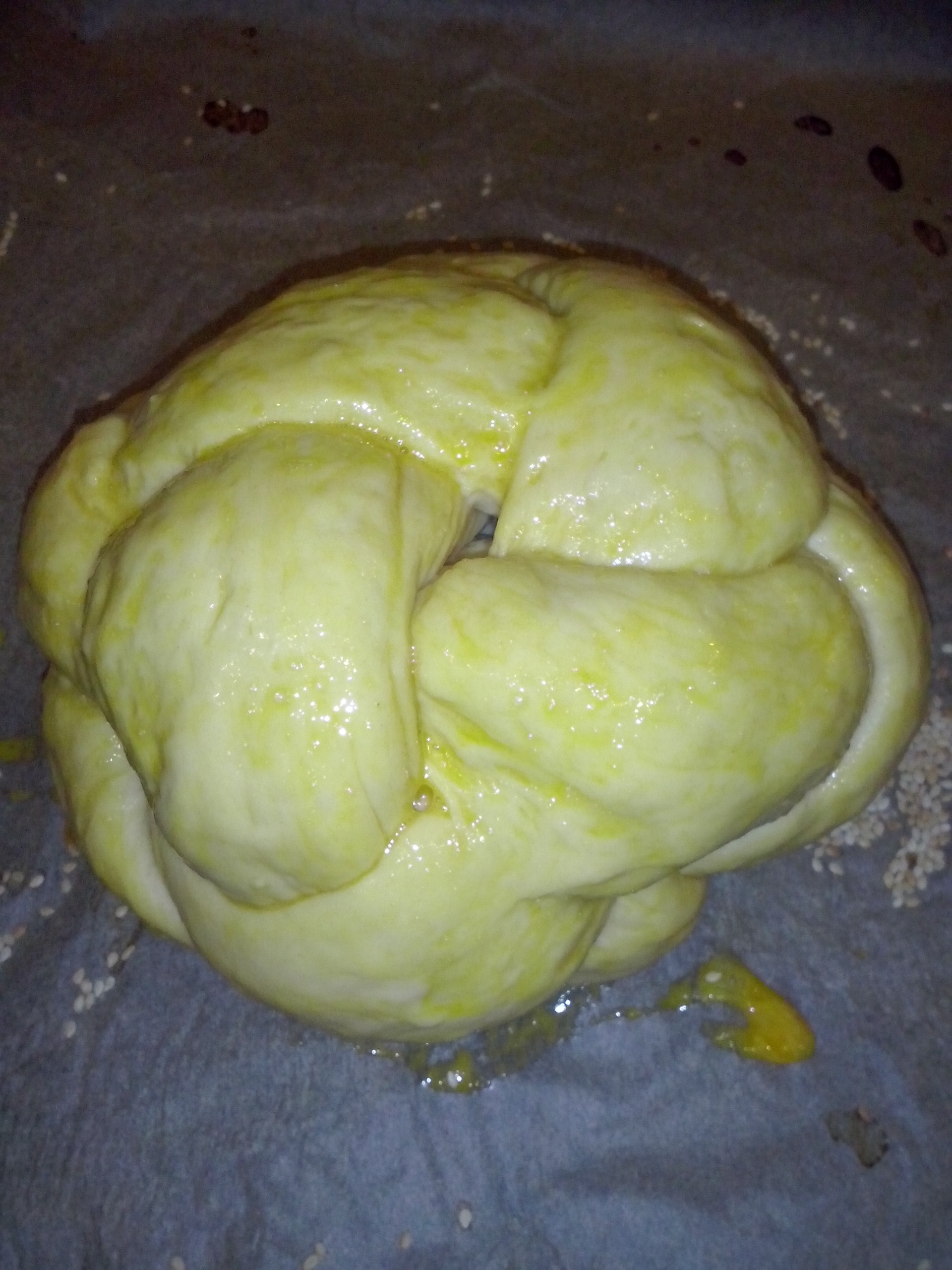 cam00273.jpg