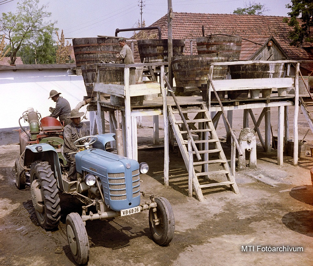 1962. június 21. A rákospalotai Béke Termelőszövetkezet dolgozói vegyszerrel töltik fel a traktor vontatású permetezőgépet, mielőtt a gazdaság 180 holdas burgonyaföldjén megkezdik a kolorádóbogár elleni védekezést. MTI Fotó: Hadas János