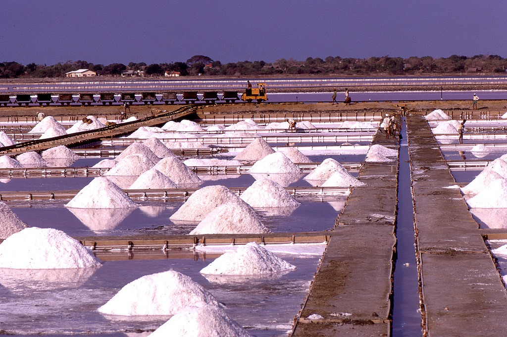 Sólepárló üzem Hambantotában