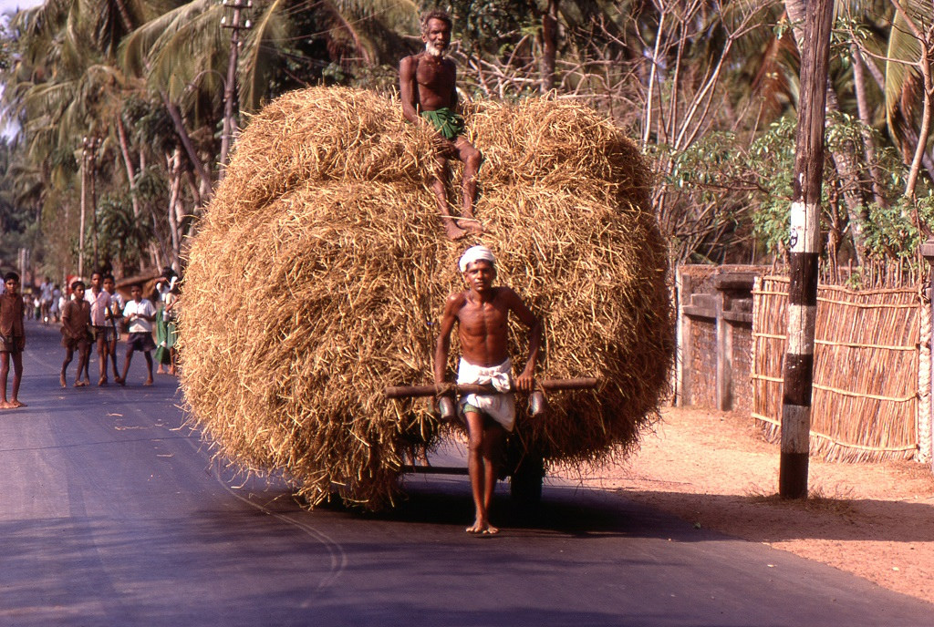 A motorizáció még messze, pedig már 1969-et írtunk. Ló híján és a szent tehén miatt az általános szállítóeszközök emberi erővel mozognak. Keralai út.