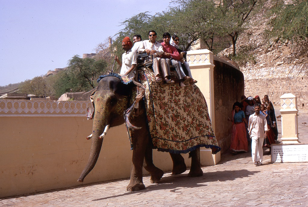 Elefánton az Ámbér-erődben (Amber Palace) Dzsaipur közelében