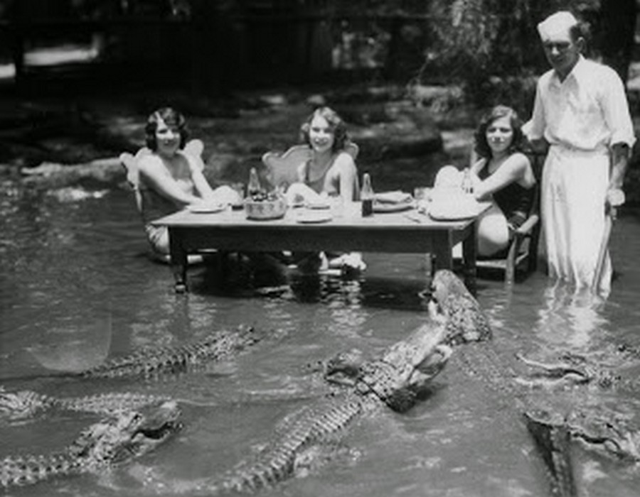 los_angeles_alligator_farm_1920s_02.jpg