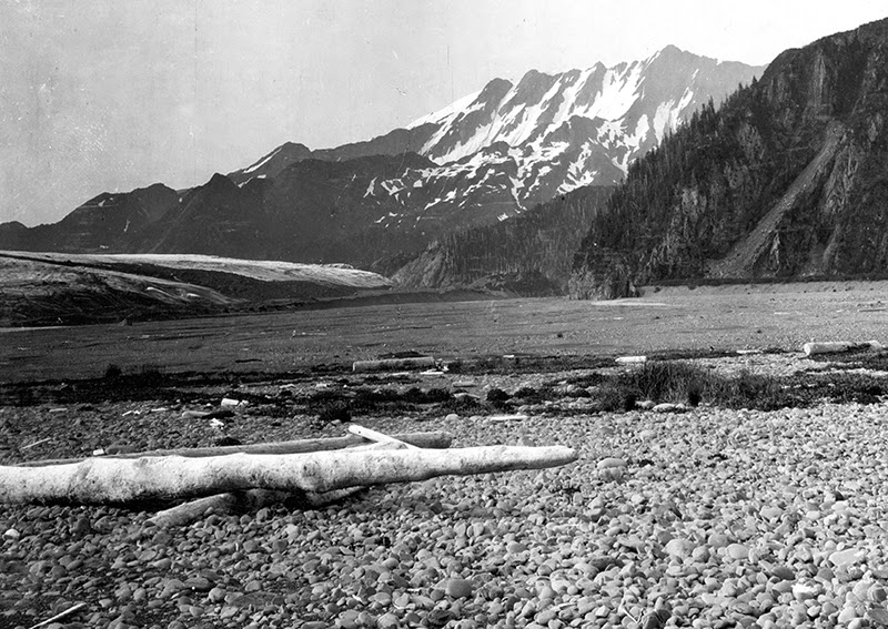 20_bear_glacier_01_1909.jpg