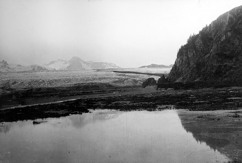 21_bear_glacier_03_1909.jpg