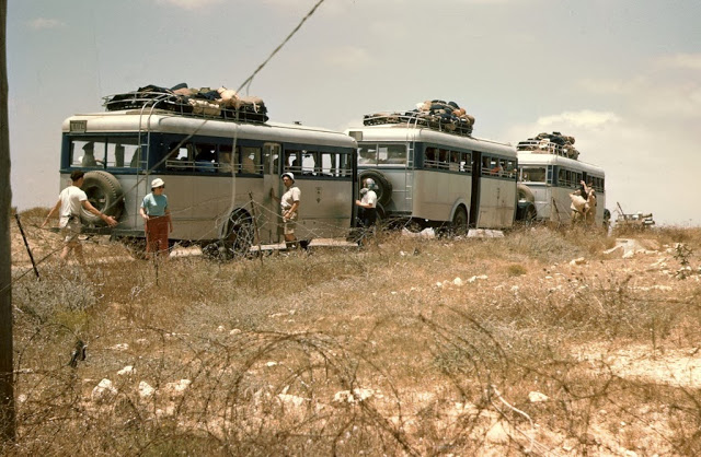 Buses in Israel in the 1950's (3).jpg