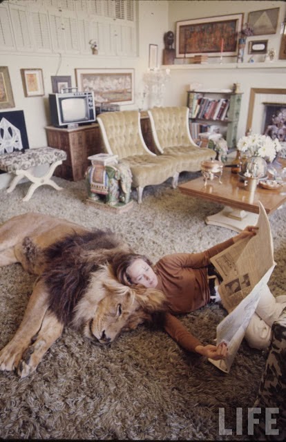 Living with a Lion, ca. 1970s (7).jpg