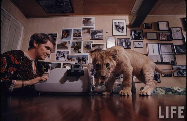 Living with a Lion, ca. 1970s (9).jpg