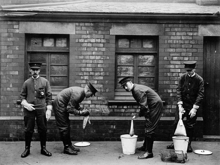 1910. Városi hivatásos patkányvadászok Liverpoolban..jpg
