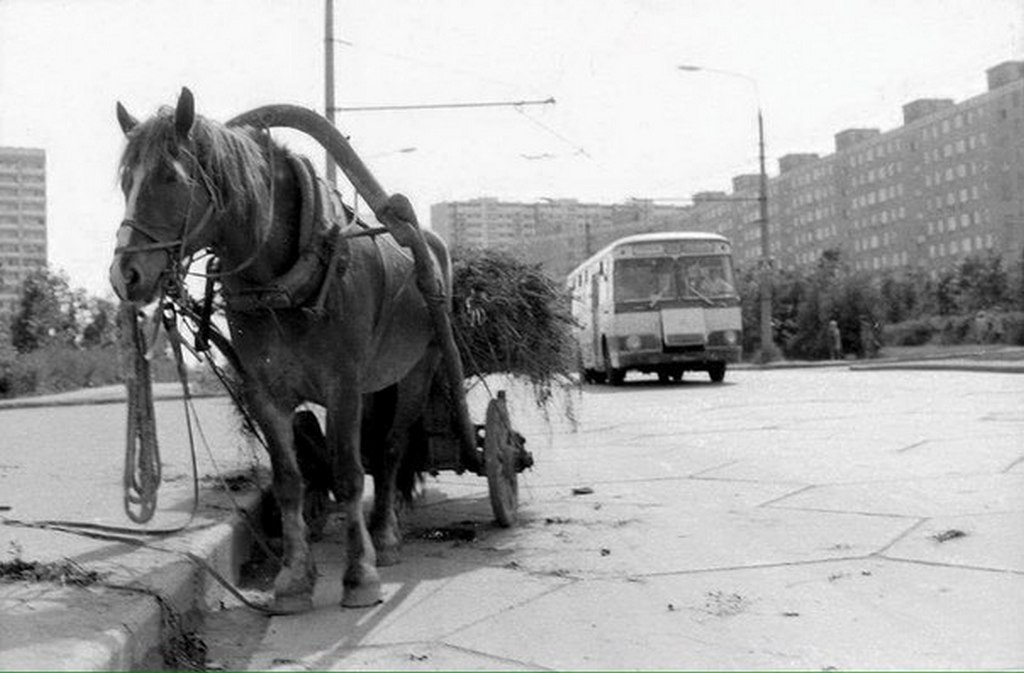1970_moszkva.jpg