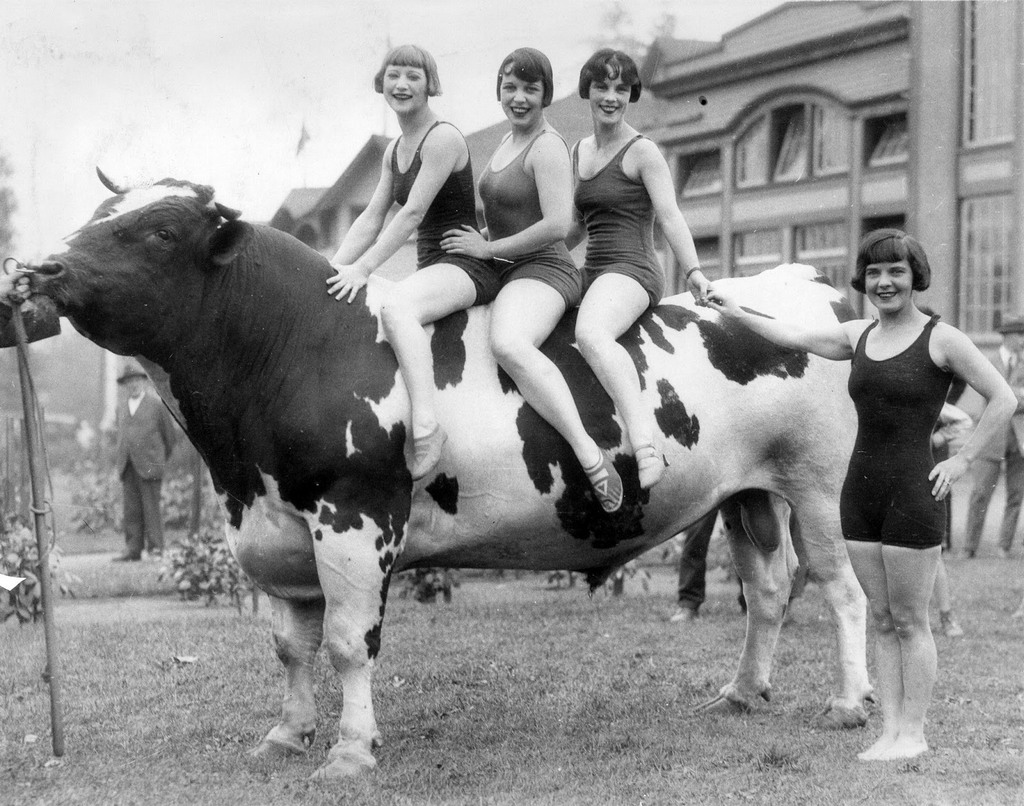 1927_women_in_bathing_suits_posing_with_a_prize_bull_vancouver.jpg