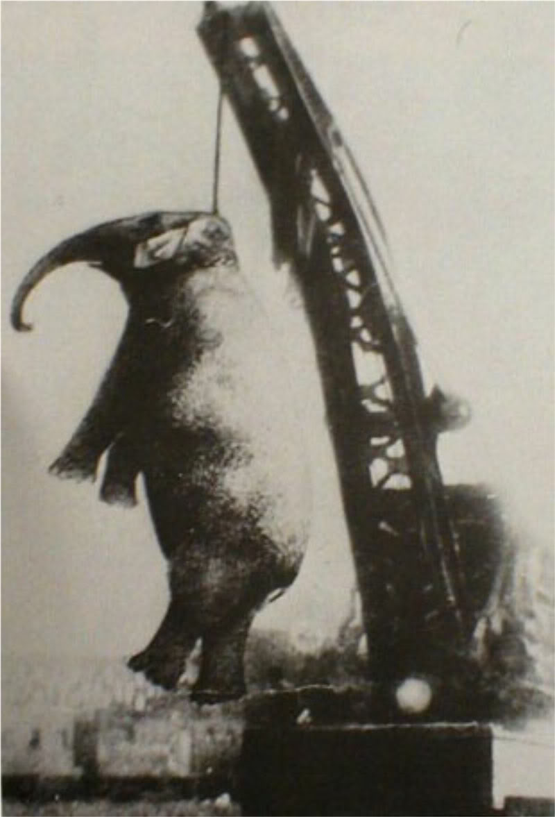 1916. Mary az elefánt kivégzése..jpg