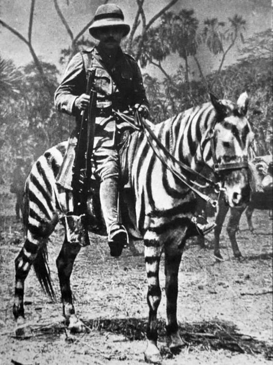 1916_british_soldier_on_a_horse_in_zebra_camouflage_german_east_africa_during_wwi.jpg