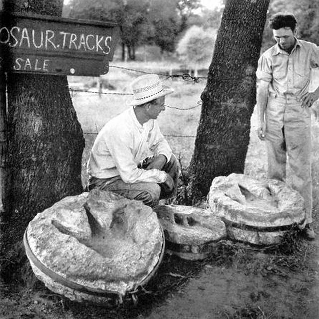 1954_limestone_dinosaur_tracks_taken_from_the_paluxy_riverbed_by_local_residents_for_sale_by_the_roadside_glen_rose_texas.jpg