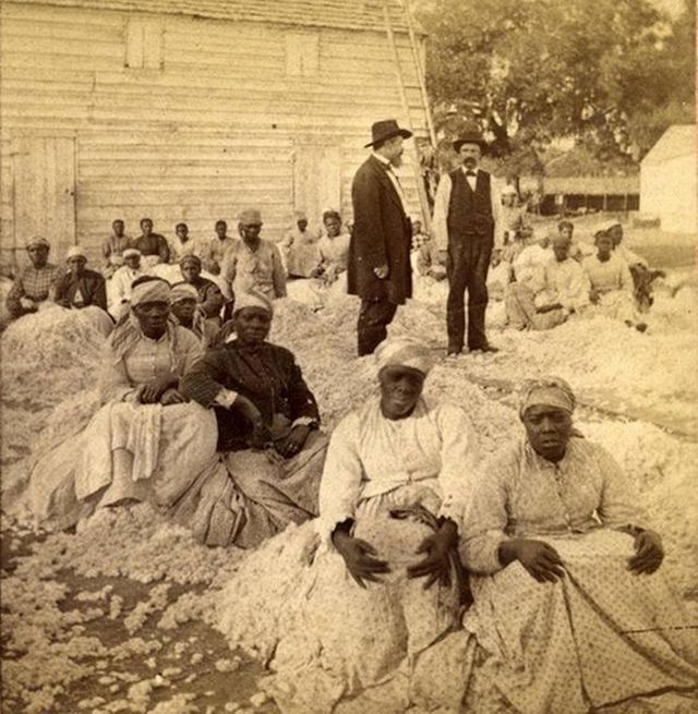 1866_a_rare_photograph_of_a_group_of_women_sitting_on_piles_of_cotton_with_two_white_male_overseers.jpg