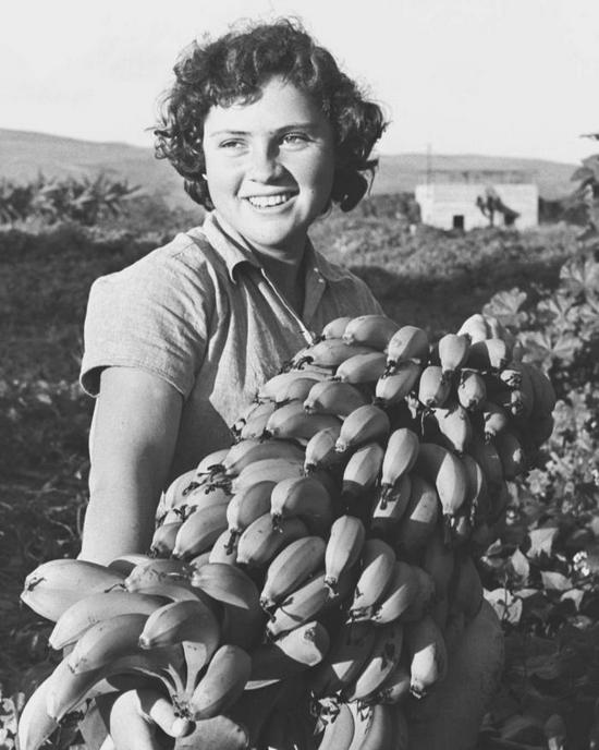 1956_banan_szedese_a_kibbutz_ginosarban_1956_izrael.jpeg