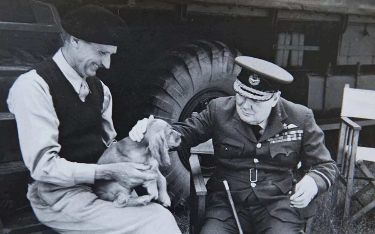 1944_general_bernard_montgomery_and_winston_churchill_play_with_montgomery_s_dog_rommel.png