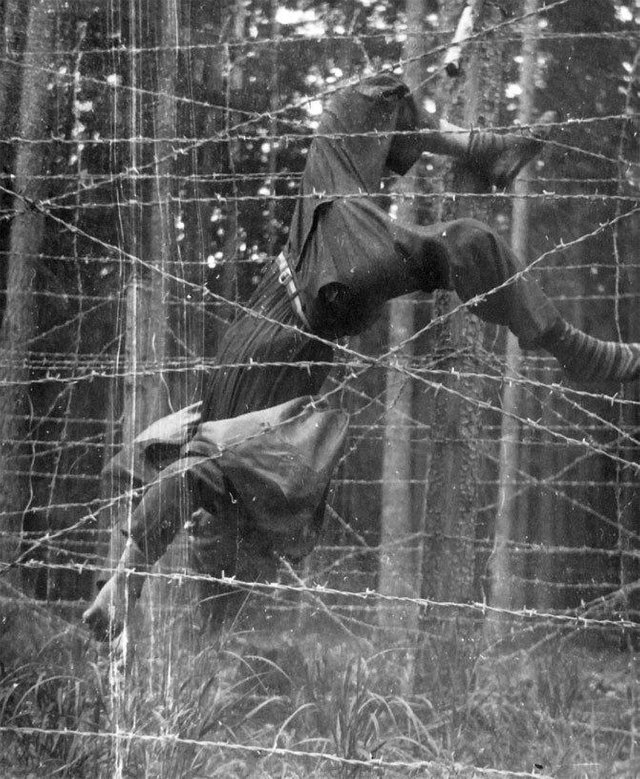 1953_majus_miroslav_svaton_age_22_dead_on_a_electric_barbed_wire_fence_on_the_czechoslovakia-germany_border.jpg