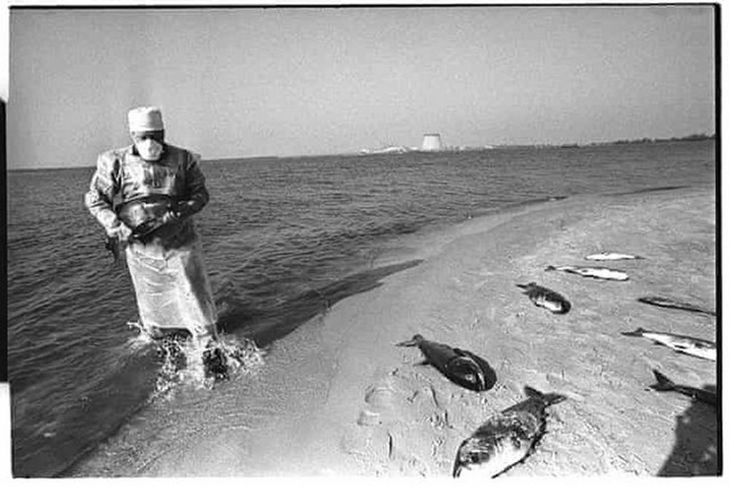 1986_dead_fish_are_collected_by_an_artificial_lake_within_the_chernobyl_site_that_was_used_to_cool_the_turbines_the_fish_which_died_from_exposure_to_radiation_are_abnormally_large_and_flabby.jpg