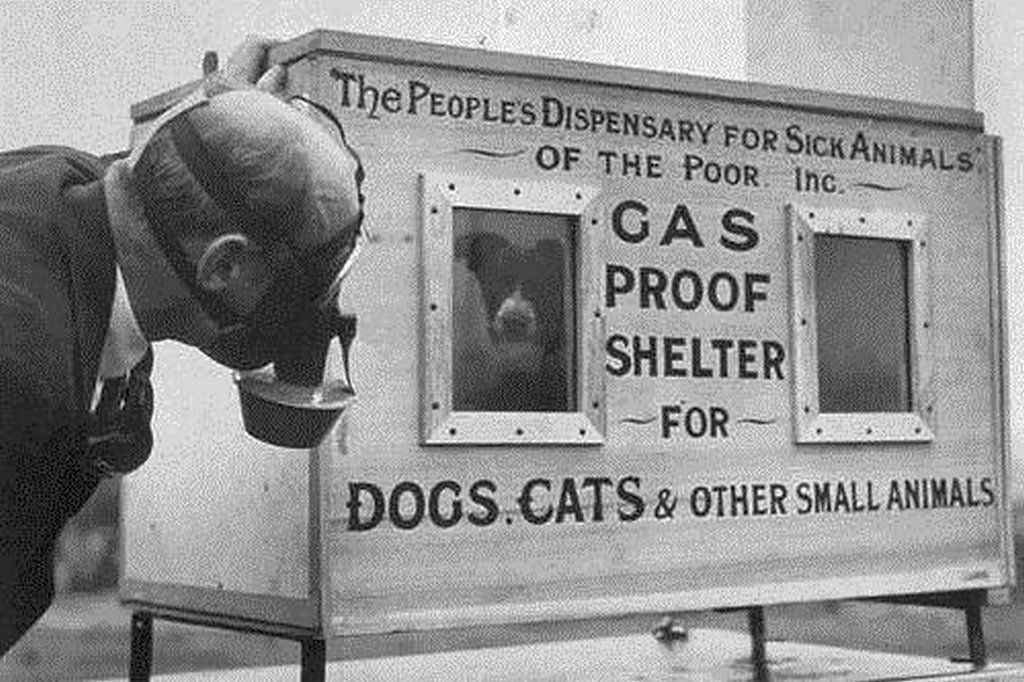 1940_a_dog_in_the_gas-proof_chamber_invented_by_c_h_gaunt_chief_technical_superintendent_of_the_people_s_dispensary_for_sick_animals.jpg