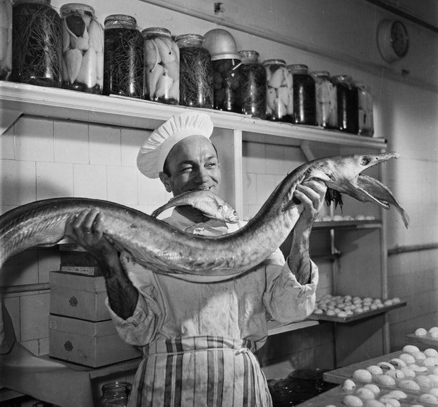 1960_a_chef_in_budapest.jpg