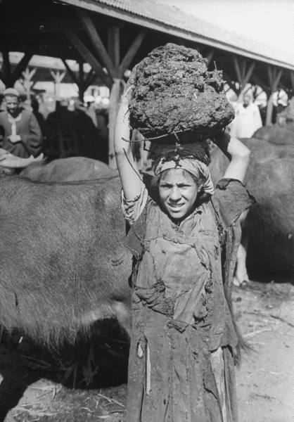 1942. Fűtésre használt trágyát szállító lány Kairóban..jpg