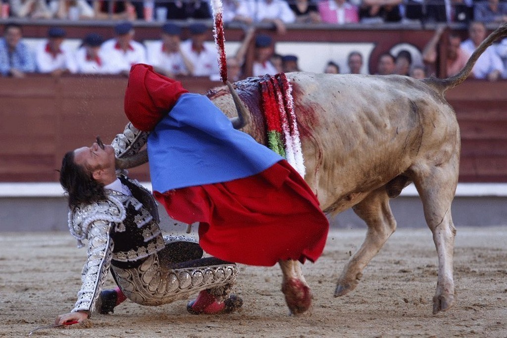 2010_san_isidro_festival_las_ventas_spanyolorszag_julio_aparicio_torreadort_egy_opiparo_nevu_530_kilos_bika_az_arenaban_feloklelte_apericio_tulelte_az_esetet.jpg