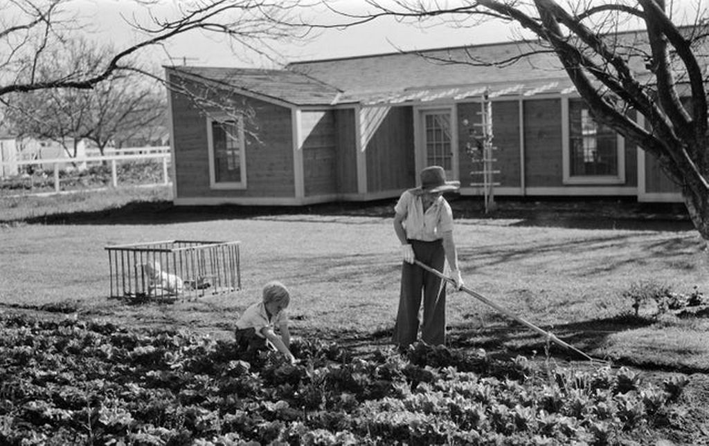 1936_woman_working_on_her_subsistence_homestead_in_california_during_the_great_depression.jpg