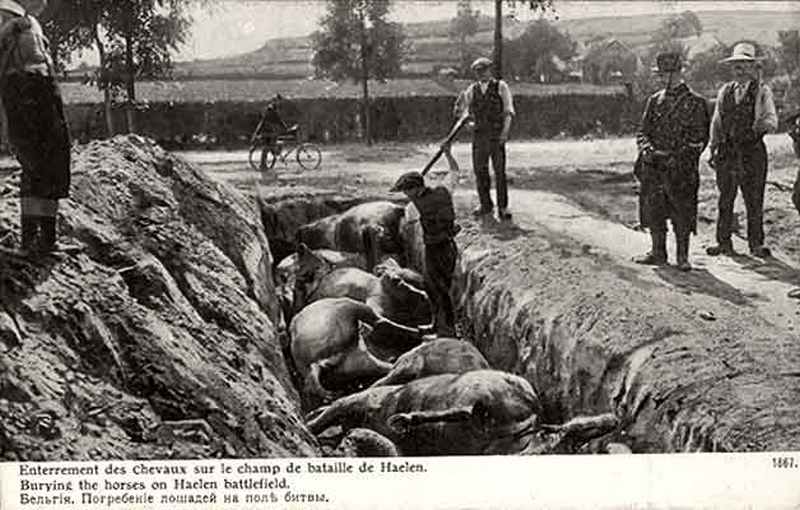 1914. Lovak temetése Belgiumban egy csata után..jpg