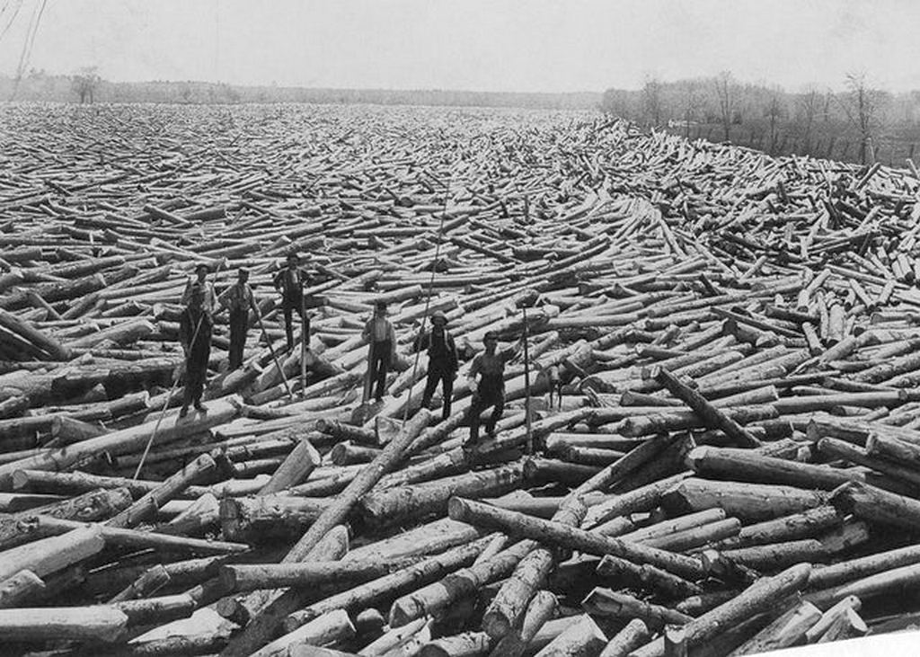 1907_logging_deforestation_glens_falls_new_york.jpg