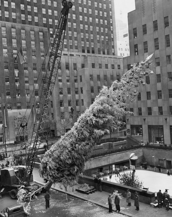 1949_the_annual_raising_of_the_christmas_tree_at_rockefeller_center.jpg