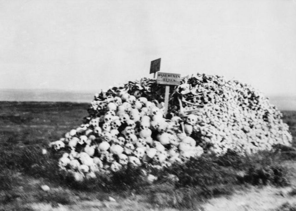 1919_a_heap_of_turkish_soldiers_bones_and_skulls_galipoli_turkey_cr.jpg