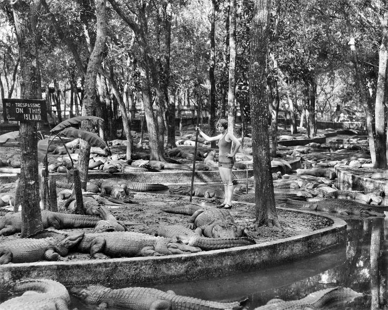 1926. Nyugis kis állás. Krokodilfarm, St. Augustine, Florida..JPG