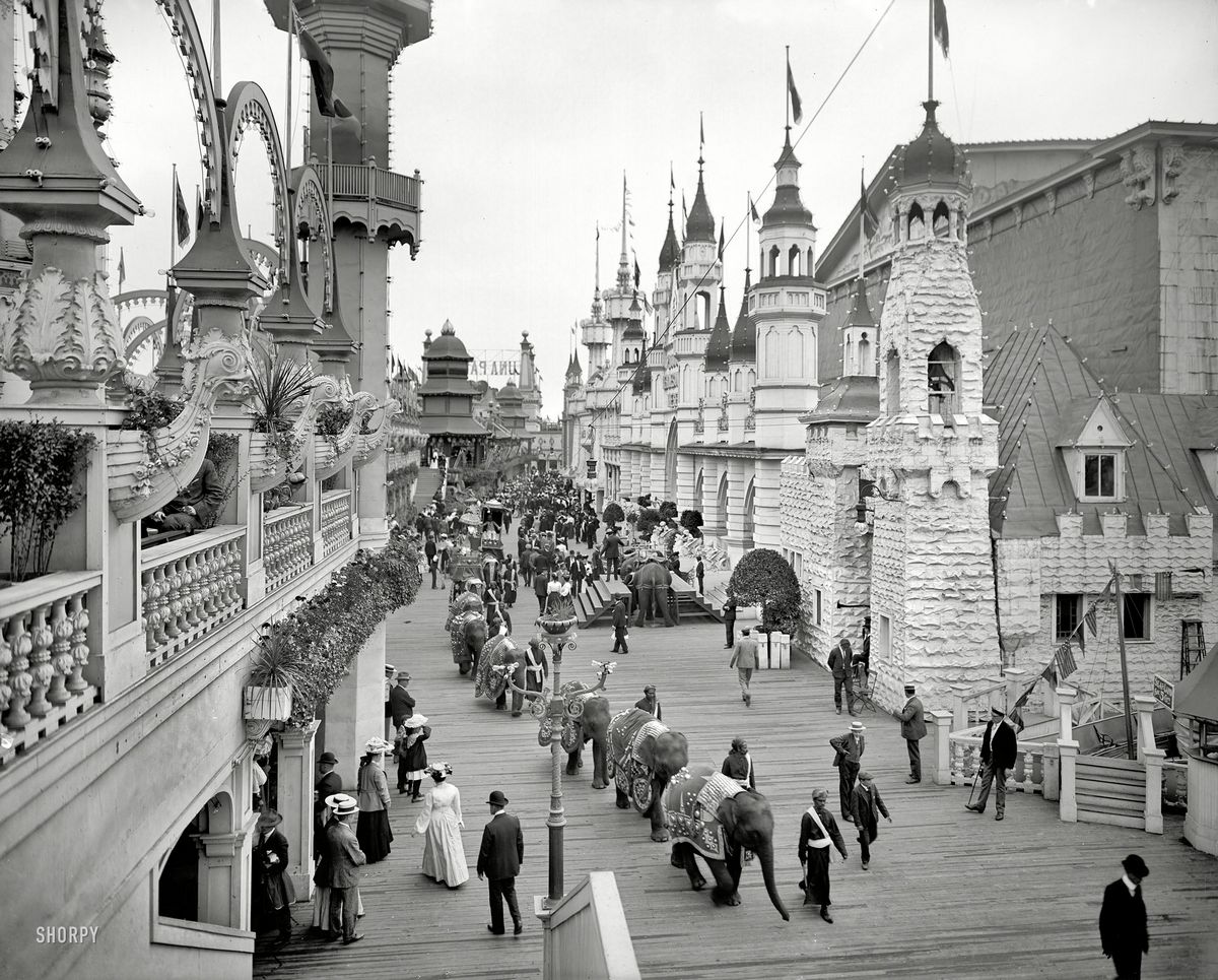 1905. Elefánt parádé a Coney Island-en..jpg