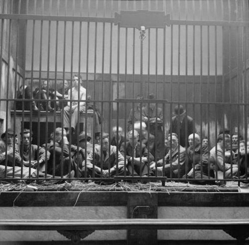 1944. Német foglyok és belga kollaboránsok átmenetileg az antwerpeni állatkert oroszlánketrecébe zárva..jpg