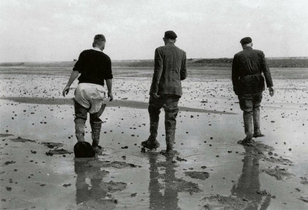 1946_three_dutchmen_walking_on_freshly_reclaimed_land_from_the_sea.jpg