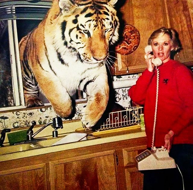 1992_tippi_hedren_in_the_kitchen_of_her_home_in_acton_california_tippi_was_on_the_phone_as_a_tiger_named_zoe_jumped_through_the_kitchen_window.jpg