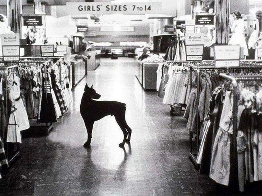 1954_the_night_watchdog_on_duty_at_a_macy_s_department_store_in_new_york_city.jpg