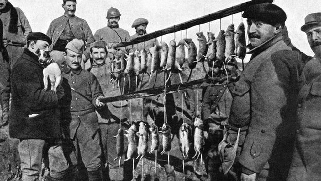 1916. Terrier és zsákmánya 15 perc vadászat után egy francia lövészárokban..jpg