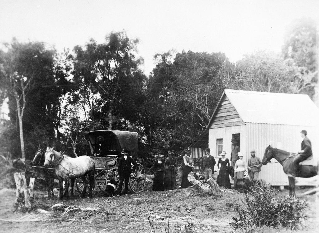 1893_l_men_and_women_at_dabinett_and_young_s_store_a_polling_place_in_tahakopa_during_the_nz_general_election_it_was_the_first_election_in_which_new_zealand_women_were_permitted_to_vote.png