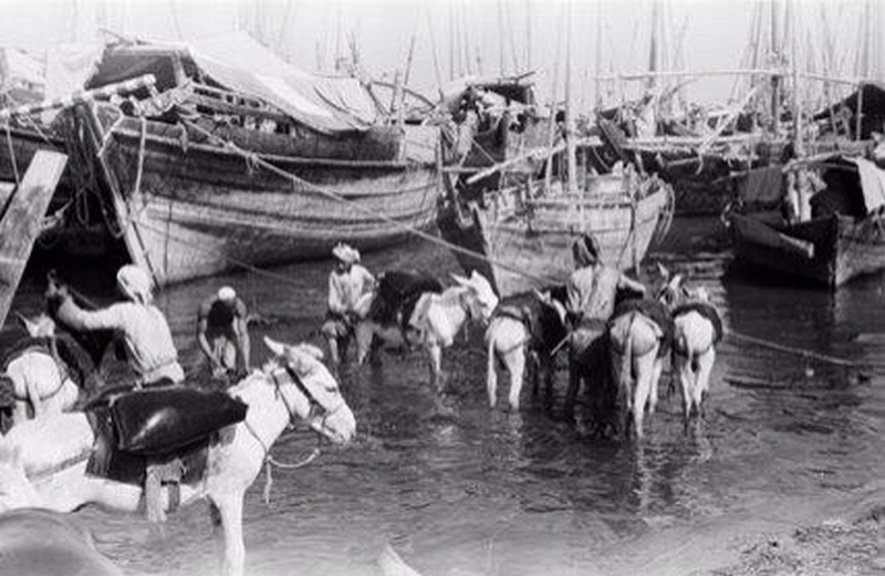 1949. Kuvaiti kikötőben az importált ivóvizet rakodják ki..jpg